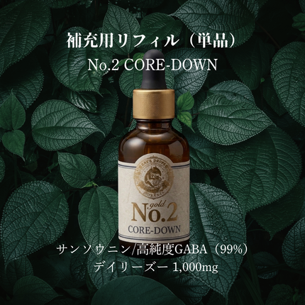 【2027年3月販売開始】No.02 / CORE-DOWN（単品）